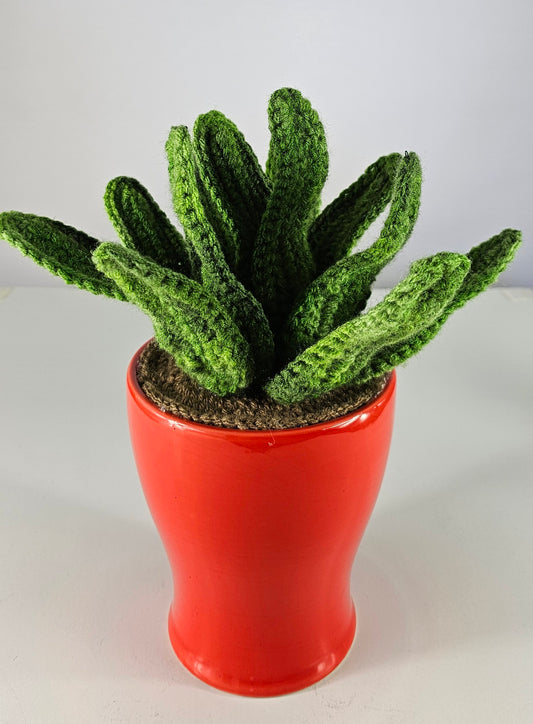 Crocheted Aloe Vera