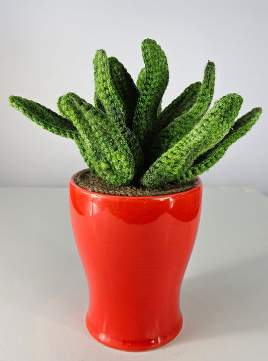 Crocheted Aloe Vera