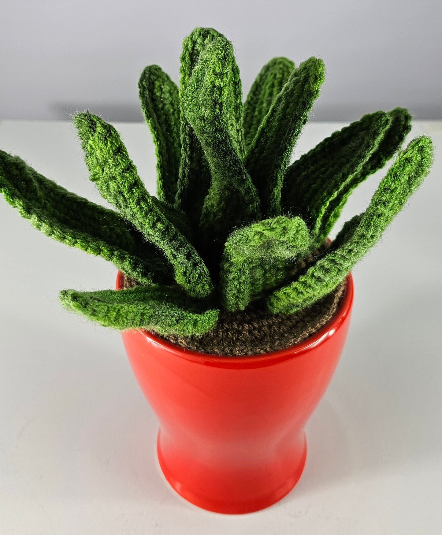 Crocheted Aloe Vera